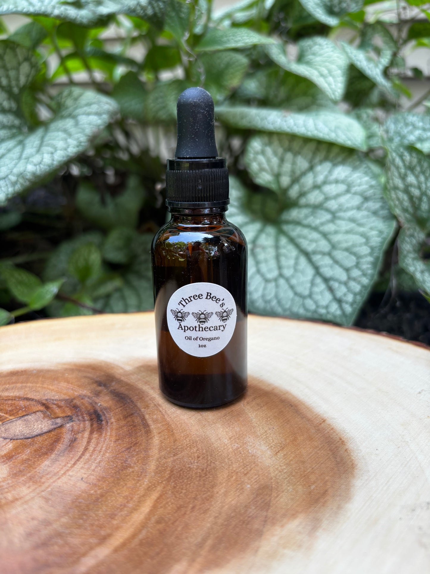 Oil of Oregano